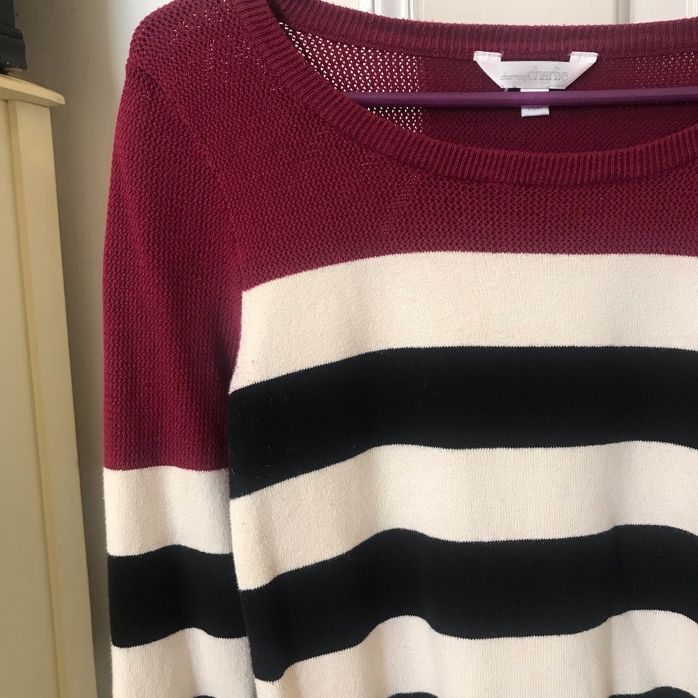 Garnet and black striped sweater